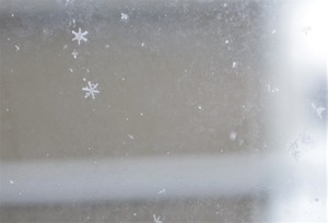 20220214SnowCrystal4