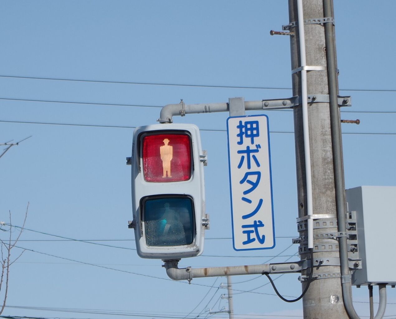 自転車 歩行 者 信号