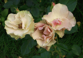 1d34c8b6.jpg