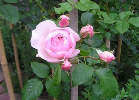072087d2.jpg