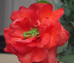 73430e8c.jpg