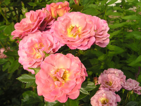 fbbd0324.jpg