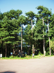 b7dd632f.jpg
