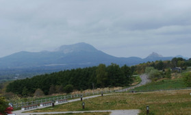 4872802a.jpg
