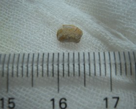 302a50bf.jpg