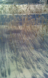 671c3665.jpg