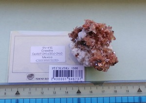 Creedite20180717