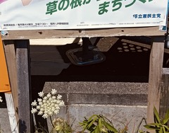 20260806Poster