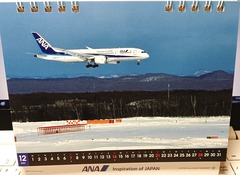 20251201ANAcalender