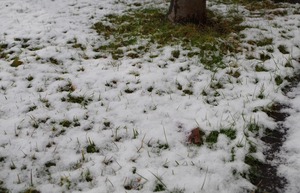 20201123Snow