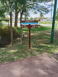 20251007ShikinoMichi2