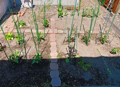 20260601Garden1