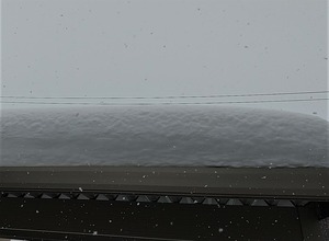 20230107CarPortBefore