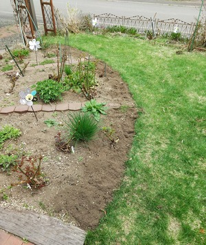 20240428Garden1