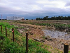 20251007Wakakusacyo8