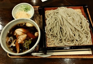 20181120Yagumo2