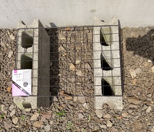 20240428PottedPlants1