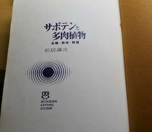 MatsuiCuctus1