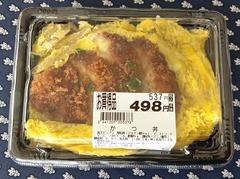 20260607Katsudon1