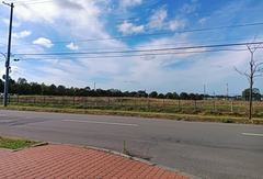 20251007Wakakusacyo3