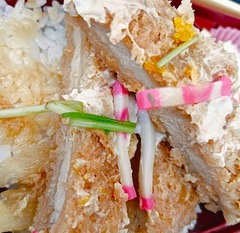 20250904SakanaisshinKatsu4