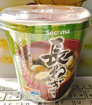 20250228secomaNaganegi1