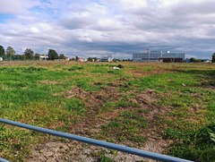 20251007Wakakusacyo6