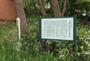 20230612Kayakuko2