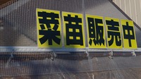 IMGP2947