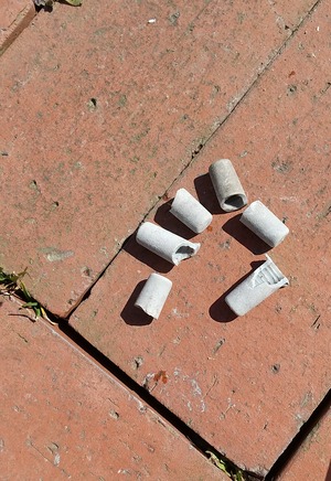 20230319CarportBissCover