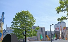 20250521SapporoEkimae2