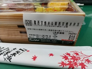 20221125Skanaisshin2