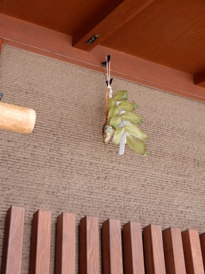 20190317Kyoto01