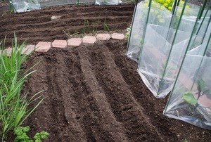20210522Garden