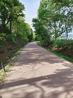 20251007ShikinoMichi1