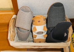20260503slipper1