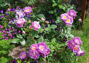 20230622Blue for You