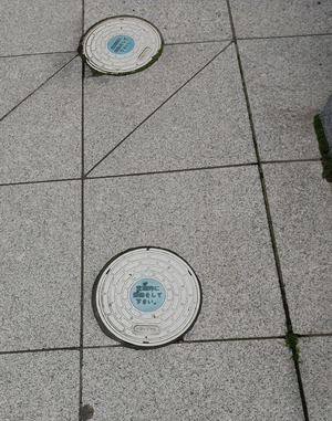 202409KinokuniyaOsuimasu