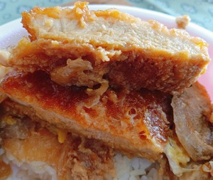 20250319SecomaKatsudon5