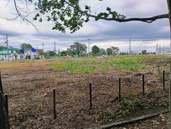 20251007Wakakusacyo7