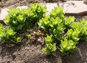 20150503d