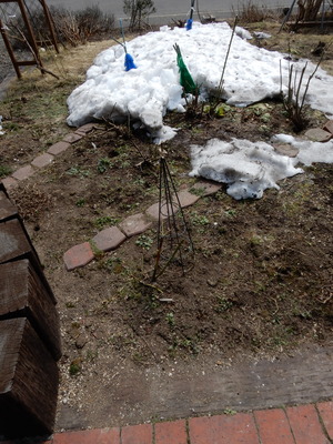 20190414Garden