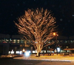 20151214Illumination