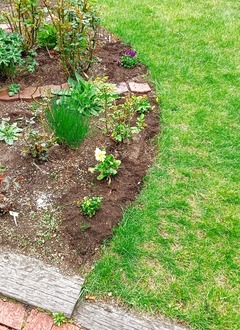 20260507Garden1