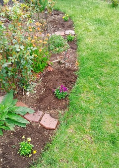 20260507Garden2