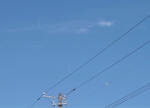 20200226SkyHikoukigumo