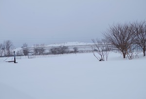 20240227SanaeTaiseki