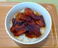 20251118LAWSON_Butadon3