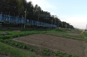 20220506TakasagoSTA4