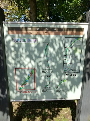 20240906ShikinoMichi2